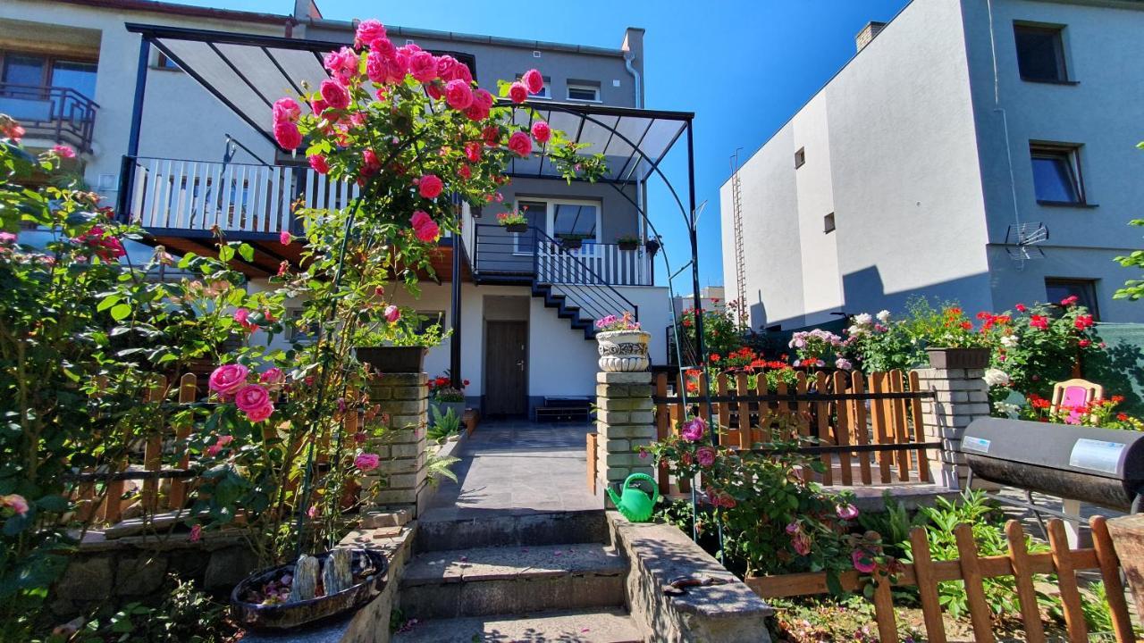 זנוימו David Home 56 מראה חיצוני תמונה