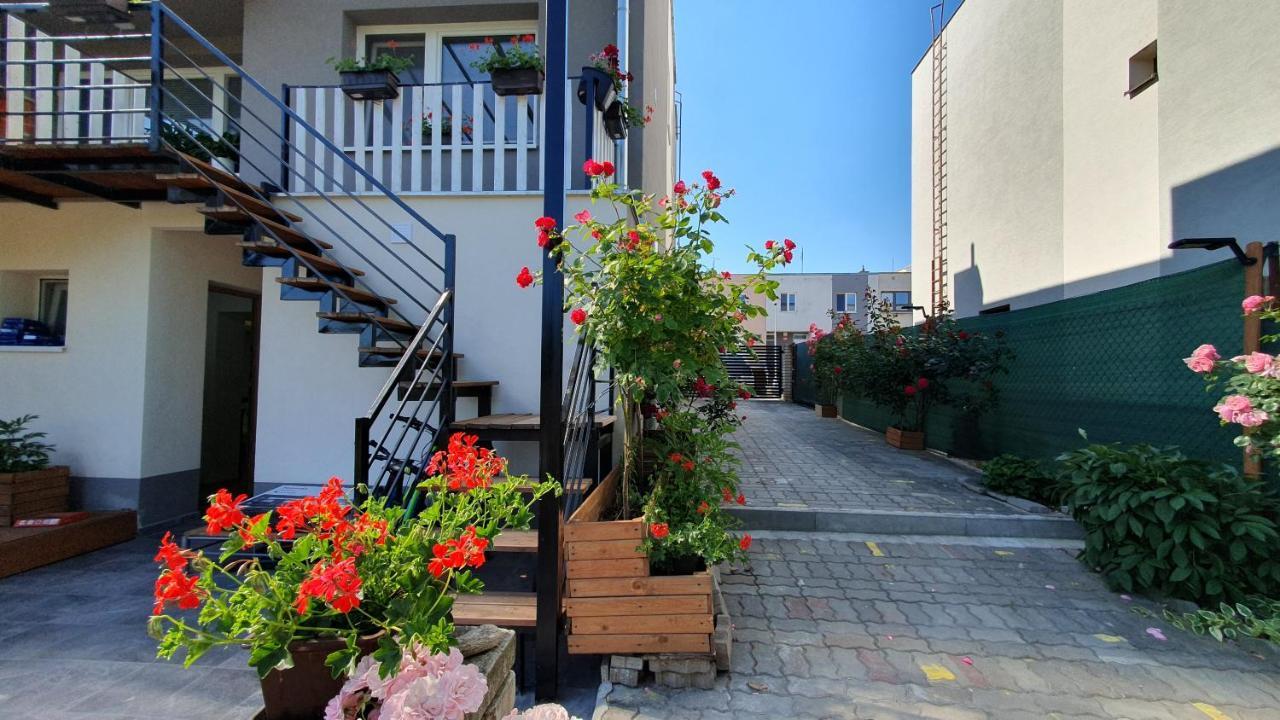 זנוימו David Home 56 מראה חיצוני תמונה