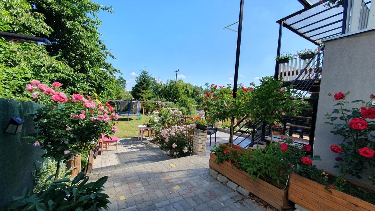 זנוימו David Home 56 מראה חיצוני תמונה