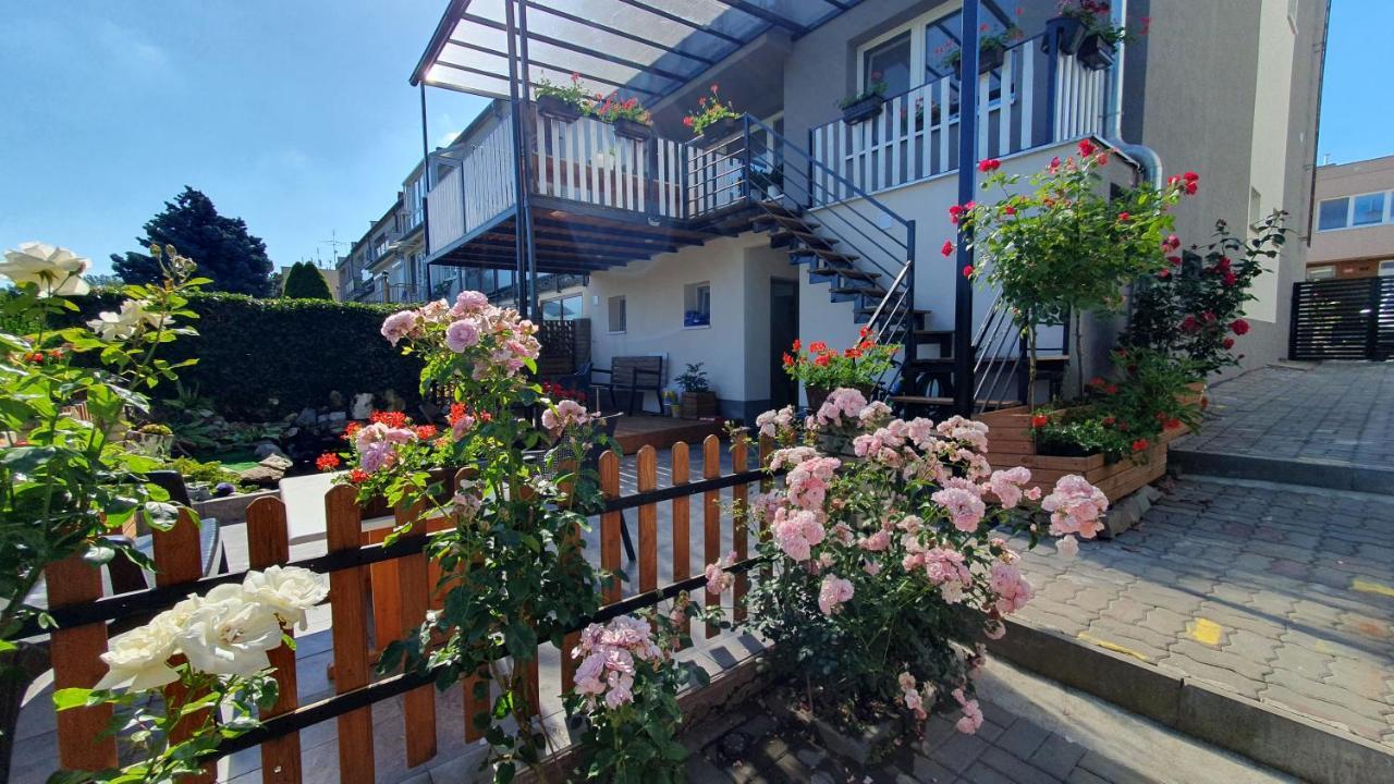 זנוימו David Home 56 מראה חיצוני תמונה