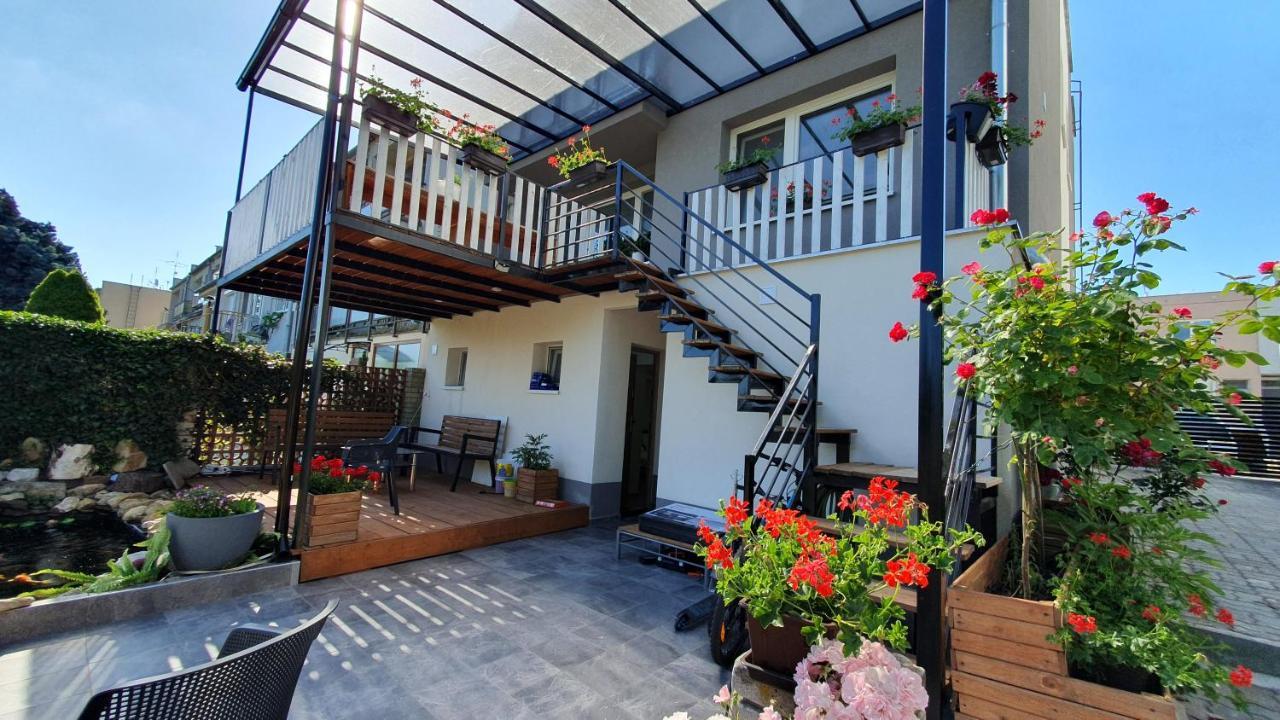 זנוימו David Home 56 מראה חיצוני תמונה