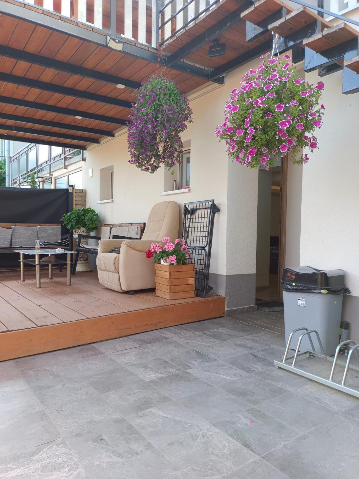 זנוימו David Home 56 מראה חיצוני תמונה